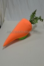 1079. Морковь