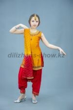 03917 Индийский костюм "Савитри 04" . Платье + шаровары + платок (12000 тг), тика (2000 тг), браслеты (10 шт - 1000 тг)